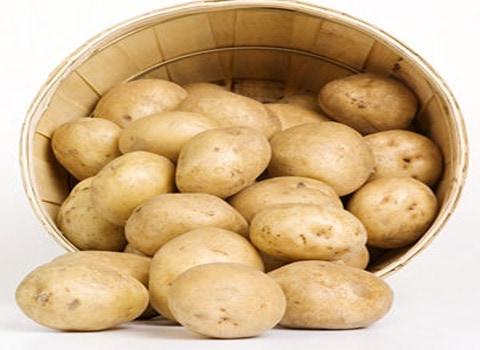 تصویر 1 از خرید و قیمت سیب زمینی سفید + فروش عمده